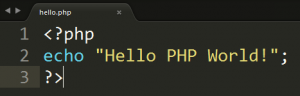 first php code in editor