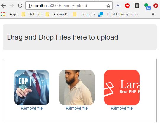 Laravel Drag and Drop File Upload Form with Dropzone JS