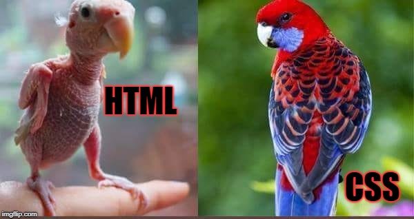 HTML VS CSS