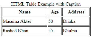html table with caption