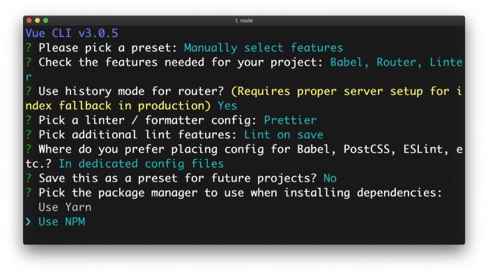 Select NPM Package Manager for VueJS CLI3