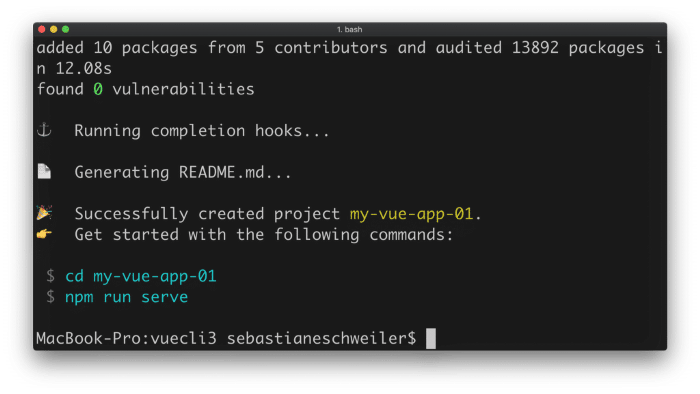 VueJS Project Create in CLI3