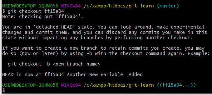 git Checkout to return old version