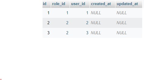 role_user table structure