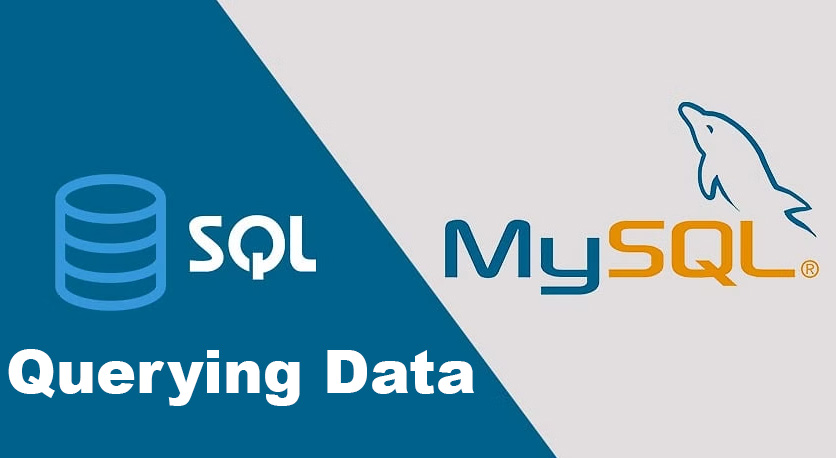 MySQL Querying Data From Table